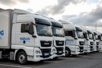 Proje Bazl� Ta��mac�l�k